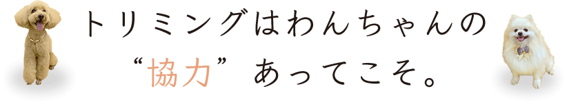 トリミングはわんちゃんの“協力”あってこそ。