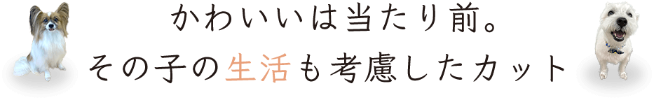 かわいいは当たり前。その子の生活も考慮したカット