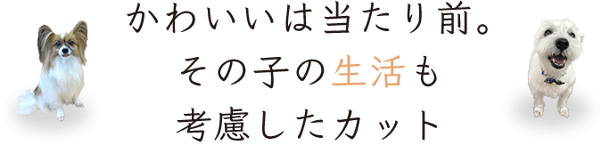 かわいいは当たり前。その子の生活も考慮したカット