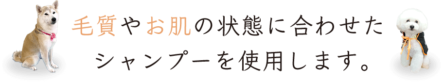 毛質やお肌の状態に合わせたシャンプーを使用します。