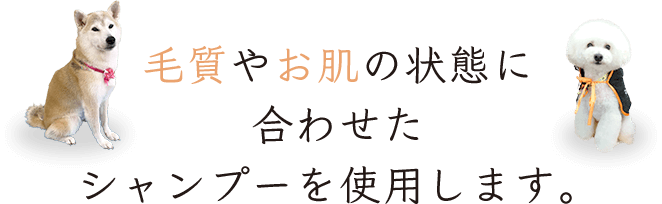 毛質やお肌の状態に合わせたシャンプーを使用します。