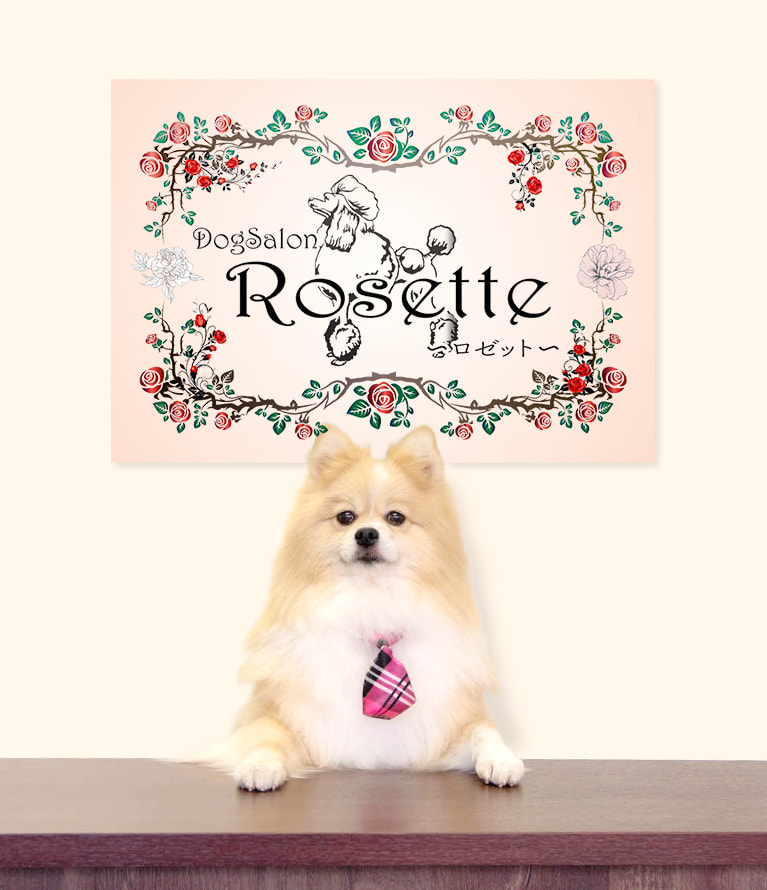 さいたま市中央区のトリミング サロン｜Dog Salon Rosette～ドッグ